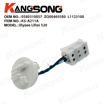 Fuel Pump Assembly/0580310057，ZQ00469380，L1123100/Elysee Lifan 520