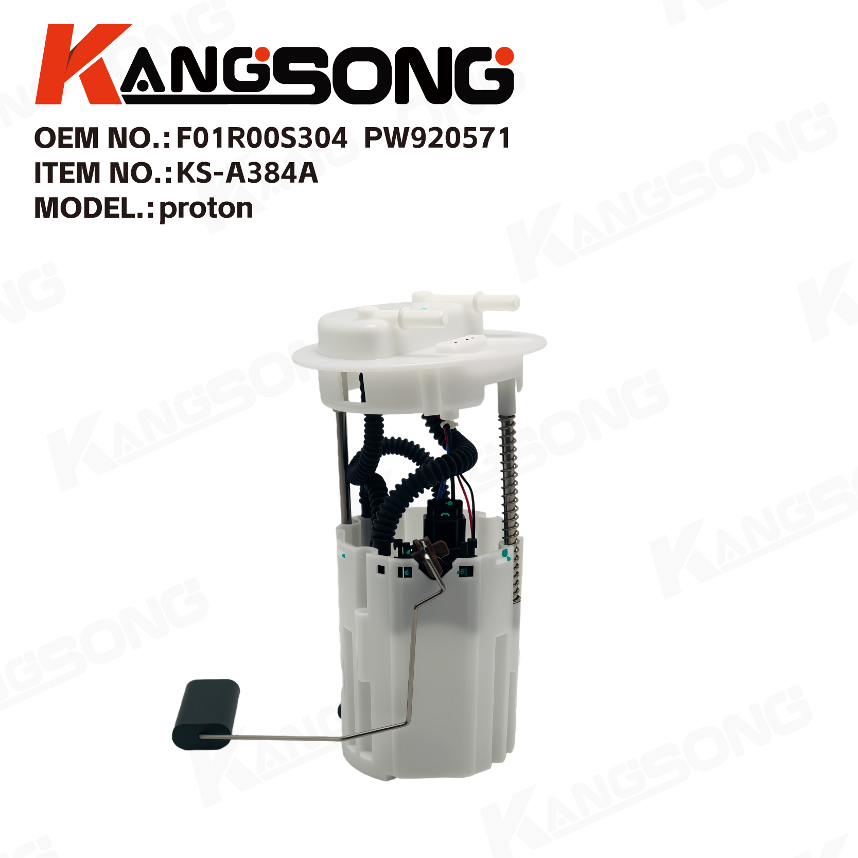Fuel Pump Assembly/F01R00S304，PW920571/Proton