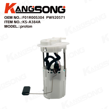 Fuel Pump Assembly/F01R00S304，PW920571/Proton