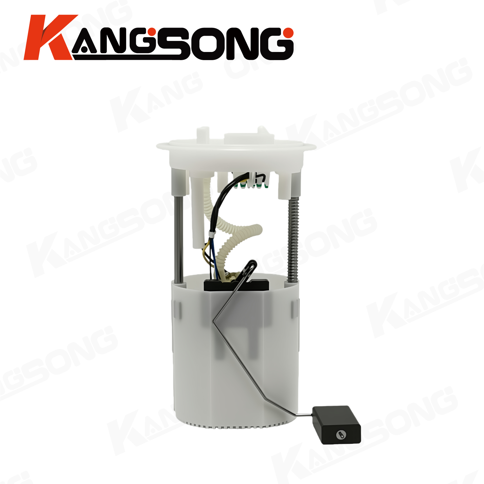 Fuel Pump Assembly/1K0919051DA/Audi