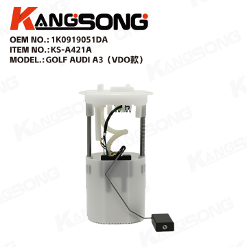 Fuel Pump Assembly/1K0919051DA/Audi