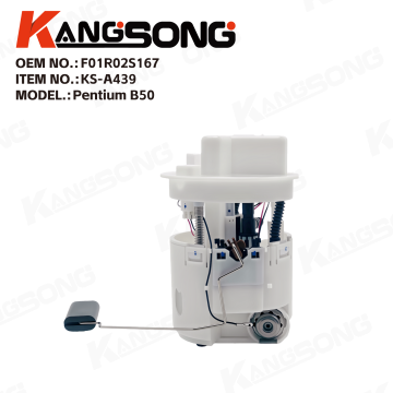 Fuel Pump Assembly/F01R02S167/Pentium