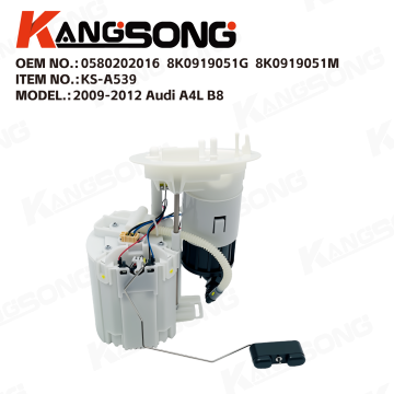 Fuel Pump Assembly/0580202016，8K0919051G，8K0919050L/Audi