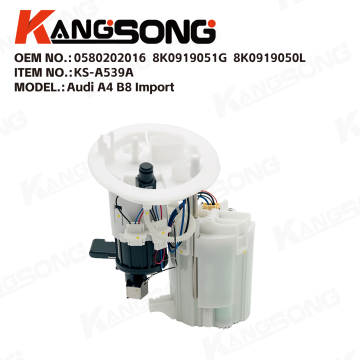 Fuel Pump Assembly/0580202016，8K0919051G，8K0919050L/Audi