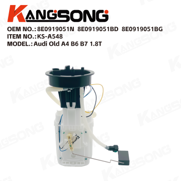 Fuel Pump Assembly/8E0919051N，8E0919051BD，8E0919051BG/Audi