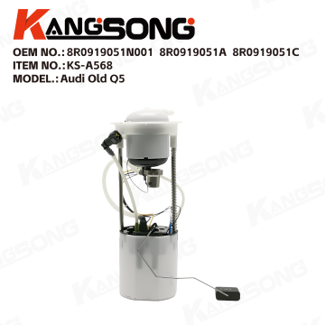 Fuel Pump Assembly/8R0919051N001，8R0919051A，8R0919051C/Audi