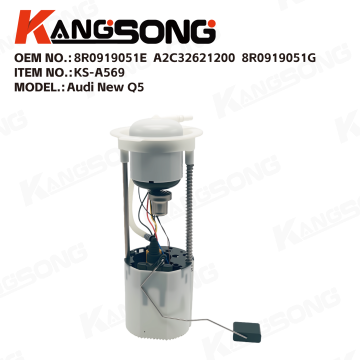 Fuel Pump Assembly/8R0919051E，A2C32621200，8R0919051G/Audi