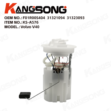 Fuel Pump Assembly/F01R00S404，31321094，31323093/Volvo