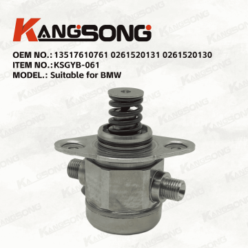 Applicable to BMW/13517610761 0261520131 0261520130/High pressure fuel pump/KSGYB-061