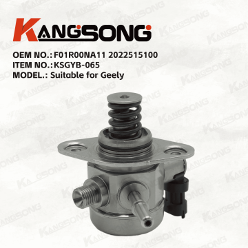 Applicable to Geely/F01R00NA11 2022515100/High pressure fuel pump/KSGYB-065