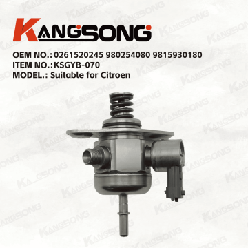 Applicable to Citroen/0261520245 980254080 9815930180/High pressure fuel pump/KSGYB-070