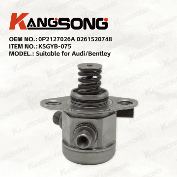 Applicable to Audi, Bentley/0P2127026A 0261520748/High pressure fuel pump/KSGYB-075
