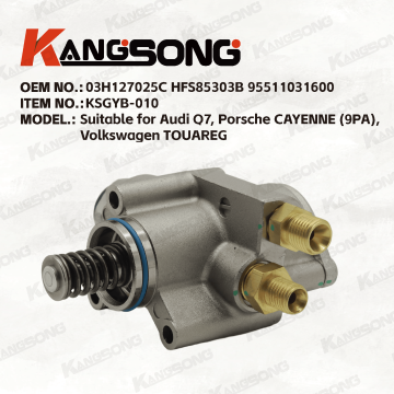 Applicable to Audi, Volkswagen, Porsche/03H127025C HFS85303B 95511031600/High pressure fuel pump/KSGYB-010
