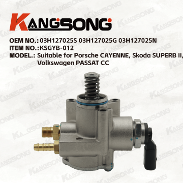 Applicable to Audi, Porsche, Volkswagen/03H127025S 03H127025G 03H127025N/High pressure fuel pump/KSGYB-012