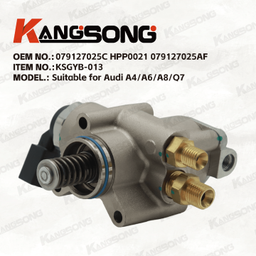 Applicable to Audi/079127025C HPP0021 079127025AF/High pressure fuel pump/KSGYB-013