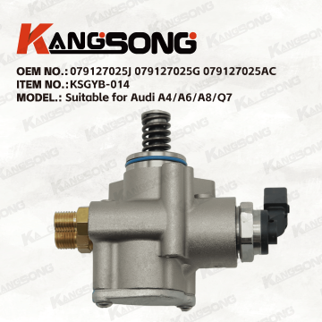 Applicable to Audi, Volkswagen/079127025J 079127025G 079127025AC/High pressure fuel pump/KSGYB-014