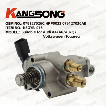 Applicable to Audi, Volkswagen/079127026C HPP0022 079127026AB/High pressure fuel pump/KSGYB-015