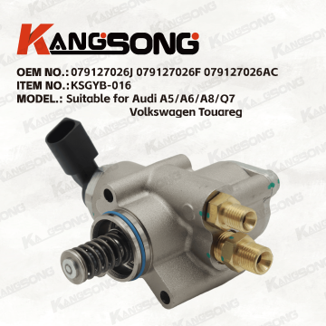 Applicable to Audi, Volkswagen/079127026J 079127026F 079127026AC/High pressure fuel pump/KSGYB-016