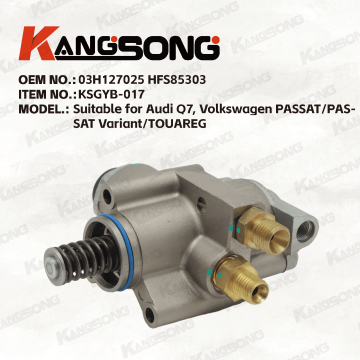 Applicable to Audi, Volkswagen/03H127025 HFS85303 HPP0012/High pressure fuel pump/KSGYB-017