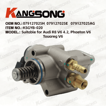 Applicable to Audi, Phaeton, and Touareg/079127025H (left) 079127025E (left) 079127025AG/High pressure fuel pump/KSGYB-020