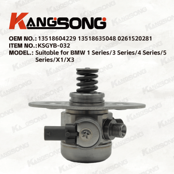 Applicable to BMW N20/13518604229 13518635048 0261520281/High pressure fuel pump/KSGYB-032