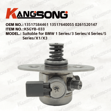 Applicable to BMW/13517584461 13517640055 0261520147/High pressure fuel pump/KSGYB-033