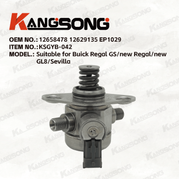 Applicable to Buick/12658478 12629135 EP1029/High pressure fuel pump/KSGYB-042