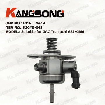 Applicable to  GAC Trumpchi GS4, GM6/F01R00NA19/High pressure fuel pump/KSGYB-048