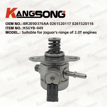 Applicable to  Jaguar/BR2E9D376AA 0261520117 0261520116/High pressure fuel pump/KSGYB-049
