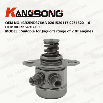 Applicable to Roewe, MG, SAIC/0261520430/High pressure fuel pump/KSGYB-050