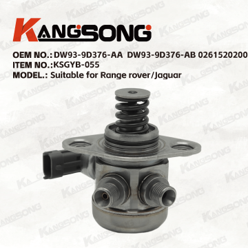 Applicable to  Land Rover, Jaguar/DW93-9D376-AA DW93-9D376-AB 0261520200/High pressure fuel pump/KSGYB-055