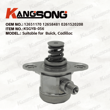 Applicable to Buick, Cadillac/12651170 12658481 0261520208/High pressure fuel pump/KSGYB-056