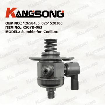 Applicable to  Cadillac/12658486  0261520300/High pressure fuel pump/KSGYB-063