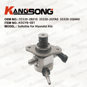 Applicable to  Hyundai Kia/35320-2E610  35320-2GTA0  35320-2GHA0/High pressure fuel pump/KSGYB-081