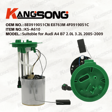 Applicable to  Audi A4 B7 2.0L 3.2L 2005-2009/8E0919051CN E8763M 4F0919051C/Fuel Pump Assembly/KS-A610