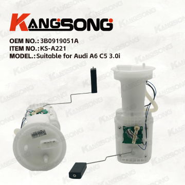 Applicable to Audi A6 C5 3.0i/4B0919051E/4B0 919 051 E/E10341M/3B0919051A/Fuel Pump Assembly/KS-A221