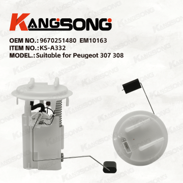Applicable to Peugeot 307 308  /9670251480,EM10163 /Fuel Pump Assembly /KS-A332