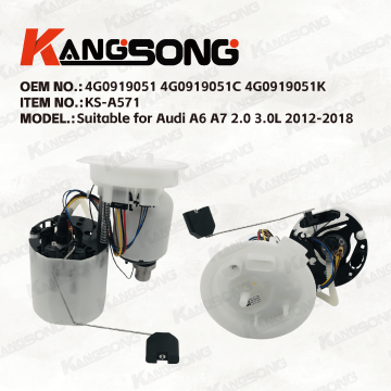 Applicable to Audi A6 A7 2.0 3.0L 2012-2018/4G0919051 4G0919051C 4G0919051K/Fuel Pump Assembly/KS-A570