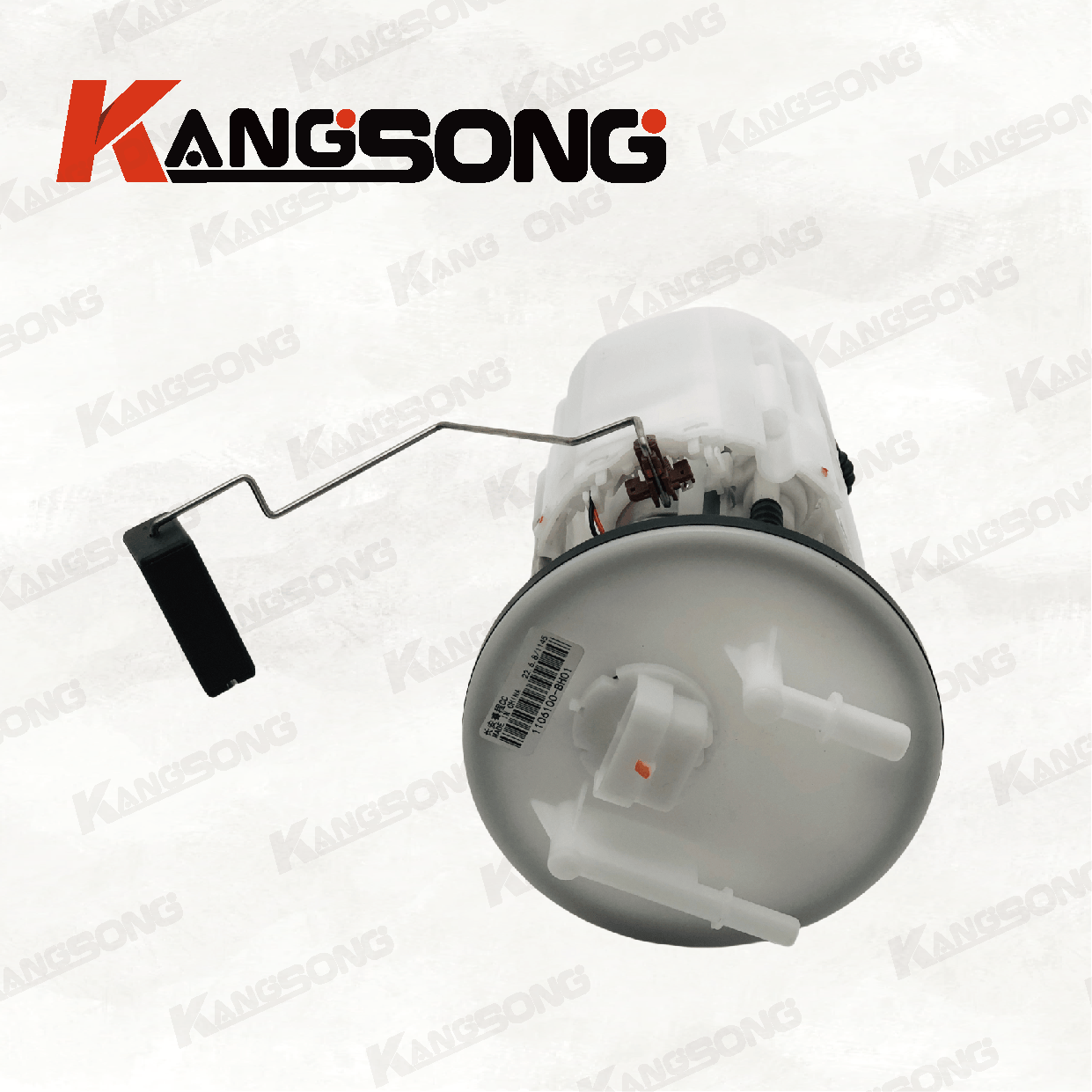Applicable to Changan Ruicheng CC/1106100-BH01/Fuel Pump Assembly/KS-A1145