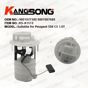 Applicable to Peugeot 508/9801037380 9801087680/Fuel Pump Assembly/KS-A1513