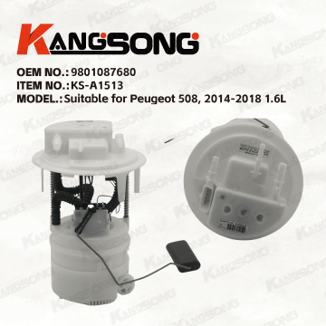 Applicable to   Peugeot 508, 2014-2018 1.6L  / 9801087680/Fuel Pump Assembly /KS-A1513
