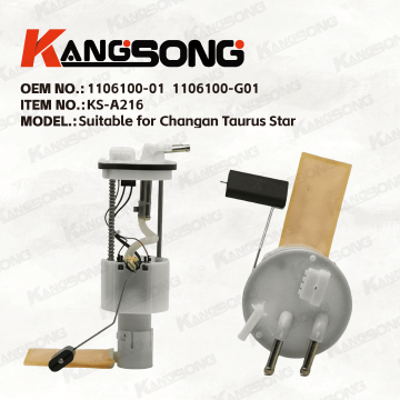 Applicable to ChangAn Taurus Star/1106100-01 1106100-G01/Fuel Pump Assembly/KS-A216