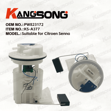 Applicable to Citroen Senna/PW823172/Fuel Pump Assembly/KS-A377