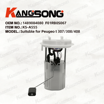 Applicable to  Peugeo t 307/308/408 /1489084080,F01RB0S067/Fuel Pump Assembly /KS-A555