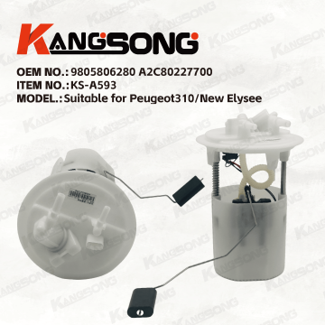 Applicable to Peugeot310 New Elysee/9805806280 A2C80227700/Fuel Pump Assembly/KS-A593