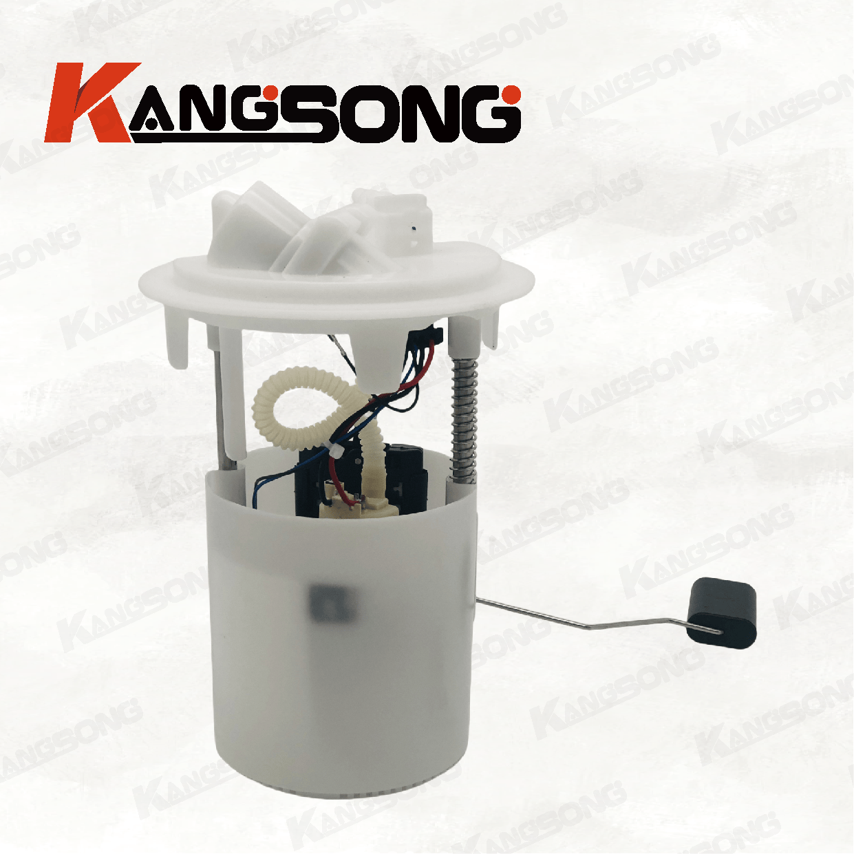 Applicable to Peugeot310 New Elysee/9805806280 A2C80227700/Fuel Pump Assembly/KS-A593