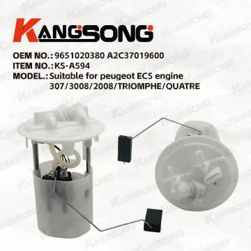 Applicable to peugeot/9651020380 A2C37019600/Fuel Pump Assembly/KS-A594