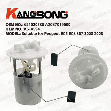 Applicable to Peugeot EC5 EC8/651020380 A2C37019600 /Fuel Pump Assembly /KS-A594