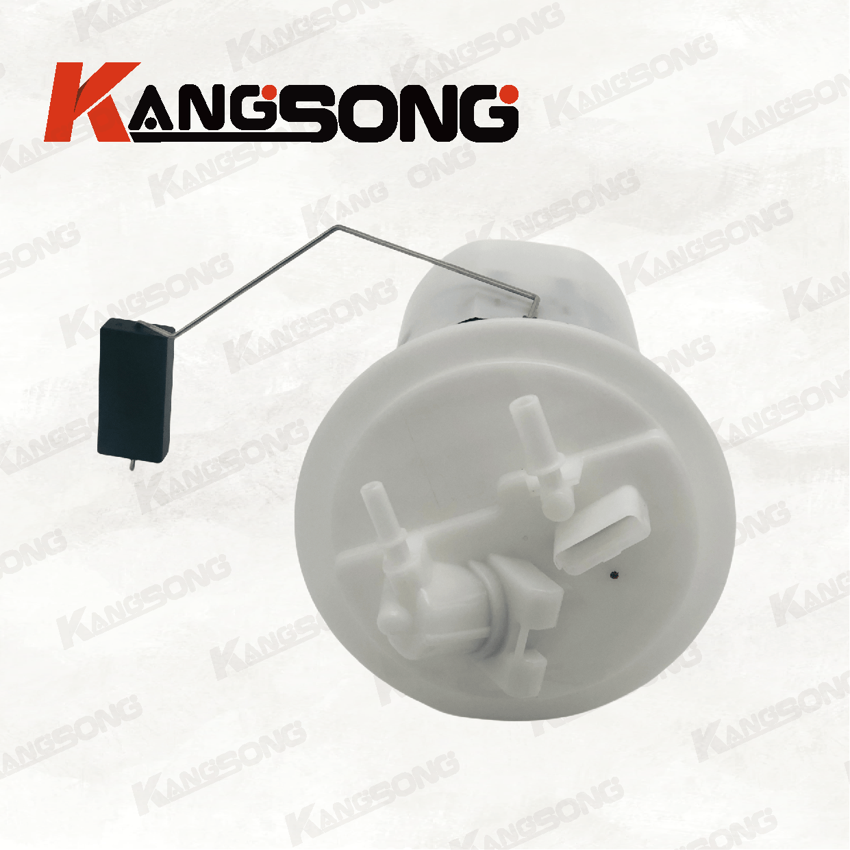 Applicable to Peugeot EC5 EC8/651020380 A2C37019600 /Fuel Pump Assembly /KS-A594