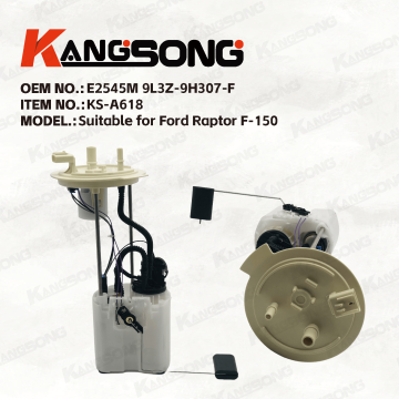 Applicable to Ford Raptor F-150/E2545M 9L3Z-9H307-F/Fuel pump assembly/KS-A618